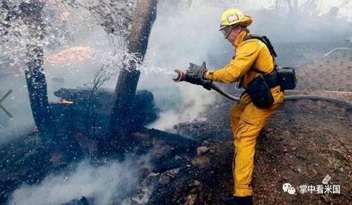 野火偏吻月,一场浪漫的野性邂逅